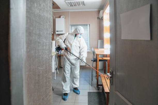 Best Commercial Mold Inspection  in Fort Meade, MD